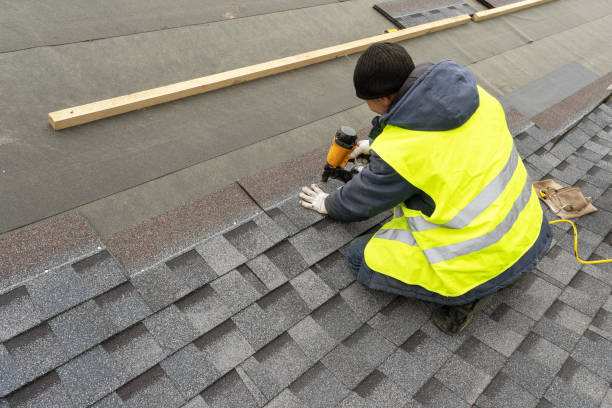 Best Metal Roofing Contractor  in Lenoir, NC